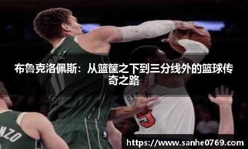 布鲁克洛佩斯：从篮筐之下到三分线外的篮球传奇之路